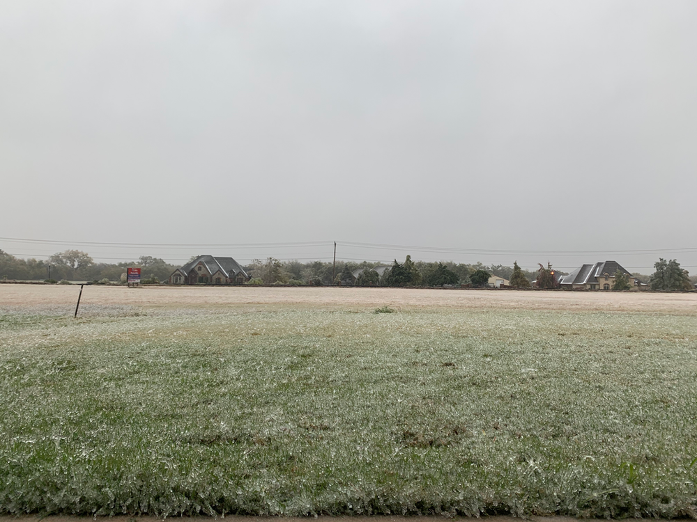 I'm grateful I could enjoy this view of my icy back yard from a warm home.